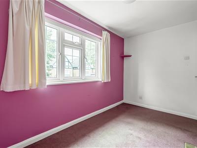Picture 23